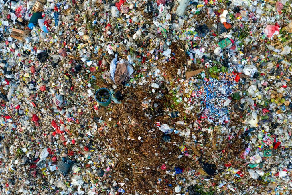 La plastisfera: una amenaza emergente para el medioambiente y la salud pública